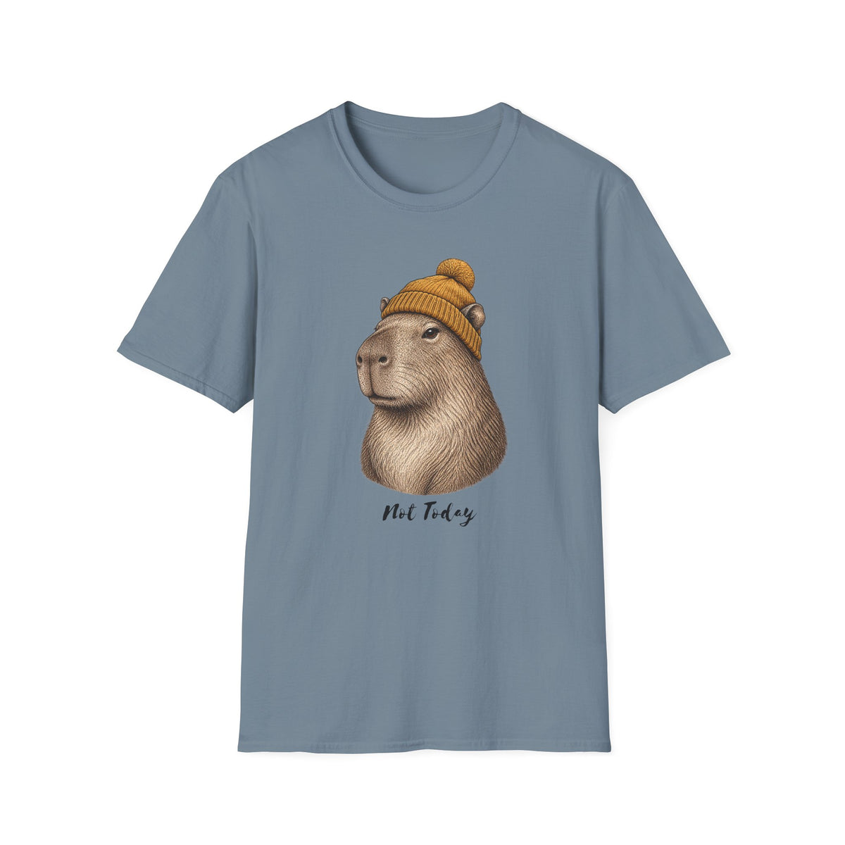 Not Today Capibara T-Shirt