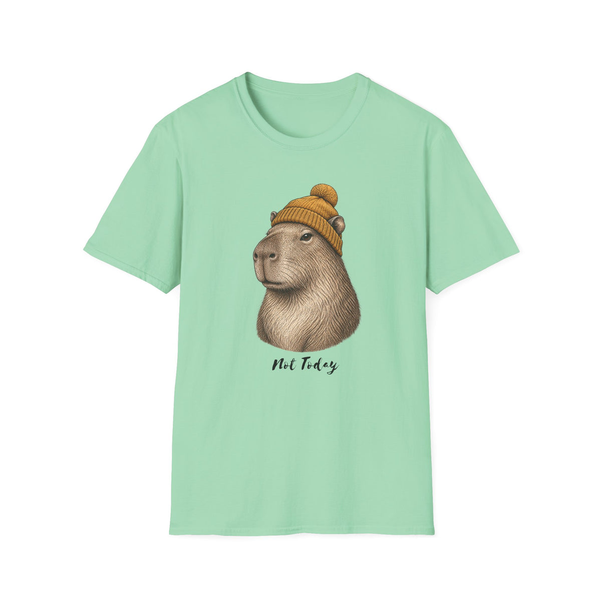 Not Today Capibara T-Shirt